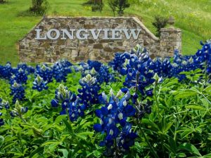 blue bonnets in front of the Longview sign